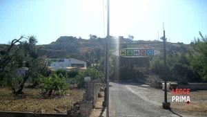 SDC13422 (1)-2